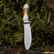 Viral Bull Nose Hunting Knife with Antler & Turquoise Handle