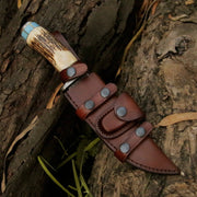 Viral Bull Nose Hunting Knife with Antler & Turquoise Handle